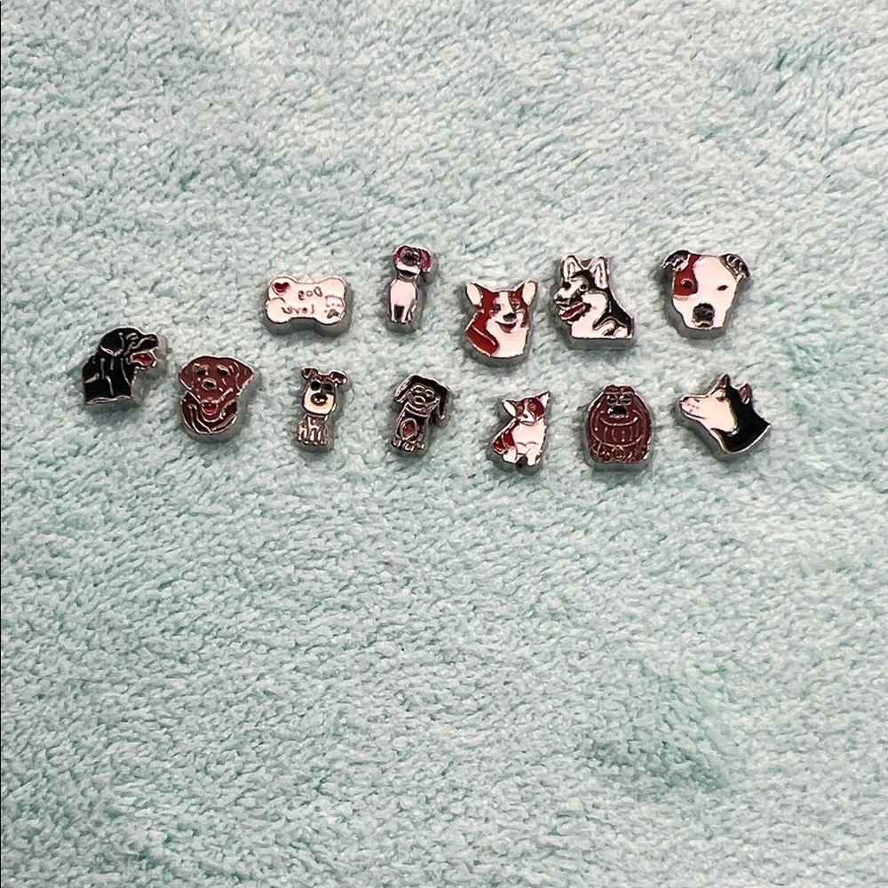 Cute Dog Floating Locket Charm Set